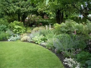 家庭园艺 欧式风格庭院景观设计 常用植物总结 