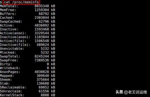 linux内存满了该如何清理(linux内存满了该如何清理缓存)