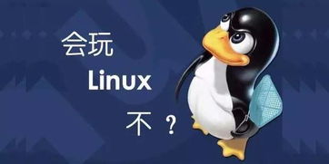 类似悬镜这样的linux服务器运维工具有哪些,求大神推荐 (云锁服务器可靠吗)