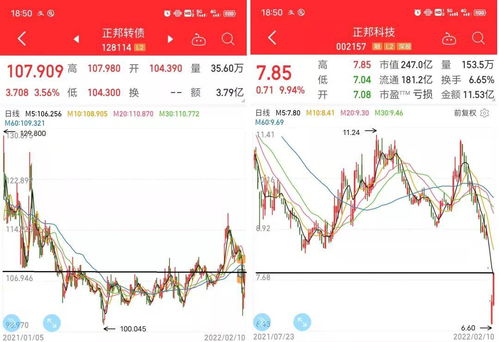 今天股票多了一个股转债10股，我已经买了，现在显示交收资金已冻结什么意思？