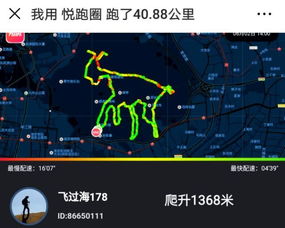 你还在刷朋友圈晒跑步轨迹 他都用脚步跑出一个 动物园 了