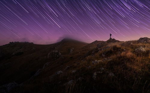 性格很好,但却爱算计别人的星座,人生最终很悲惨