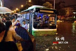 湖南暴雨致1人死亡 公交抛锚乘客看 海