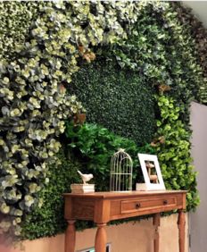 时尚装饰 如何让绿色植物爬上墙 