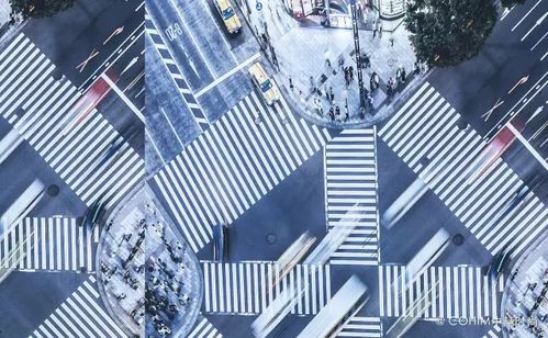 日本东京街头Shinji Tsuchimochi