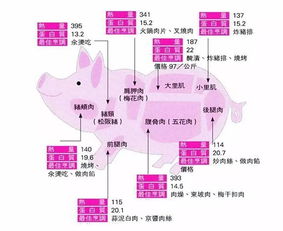 猪肉各部位名称图解 图片欣赏中心 急不急图文 Jpjww Com