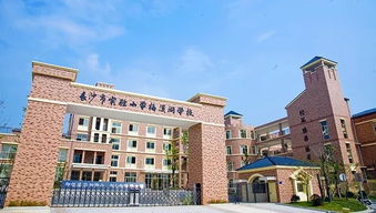 长沙梅溪湖公立小学排行榜