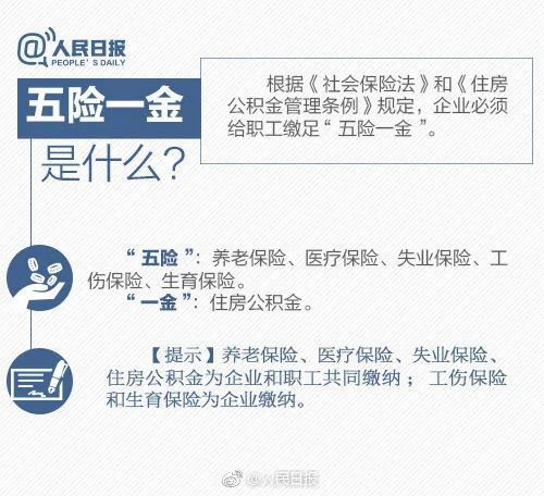 社保缴费信息提交不上是怎么回事(社保缴费系统审核不通过原因)