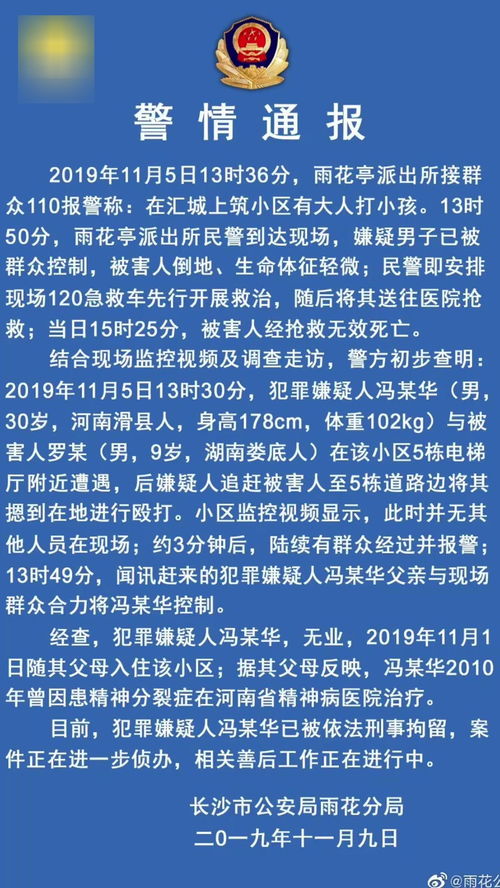 2023年11月男孩名字