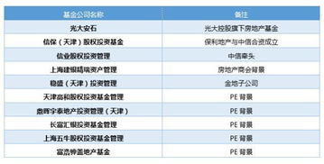 中国有哪些房地产基金？