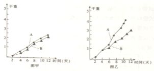 为什么原癌基因的突变只发生在体细胞中?