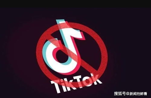 国外tiktok怎么登录_TikTok引流模式