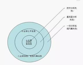 试述有效市场假说的内涵及分类