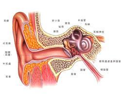 如何正确处理耳朵疼 