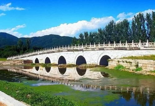 世界上最特别的几座桥梁,都十分有名且各有特色,中国有一座上榜