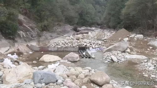 大自然的强盗 浅谈农夫山泉破坏武夷山生态的恶劣性