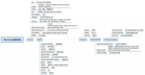 详解MySQL 带你解读MySQL 8.0 新特性 动态权限 爱可生