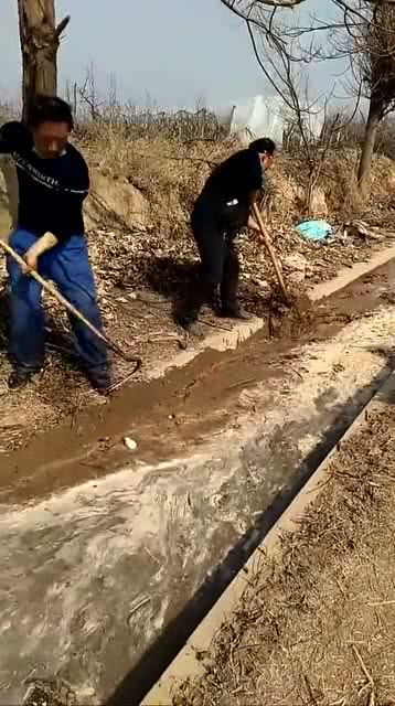 田里的河沟灌水了,大家高兴地在排水 