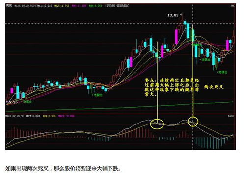 股票xd是什么意思不懂，特来请教！