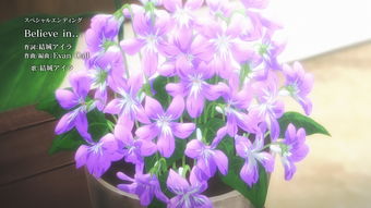 紫露兰花语？