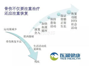 骨折康复毕业论文