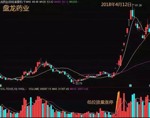 国内炒股最成功的人是谁？请介绍一下？