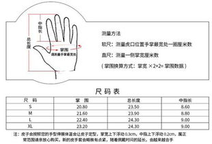 奢侈品级真皮手套,凹造型神器 全触屏 这个冬天不再冷 属于你的冬日小温暖 