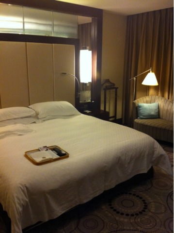 求 上海 浦东 图片中这间酒店房间所属酒店的名称 