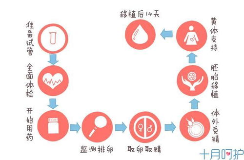 试管婴儿和普通婴儿真的有区别吗 答案令很多人 失望 了