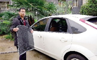 郑州小区11辆车被砸窗盗窃 