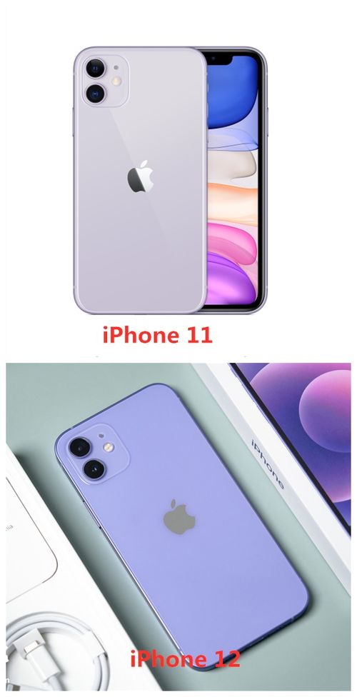 Iphone12紫色和11紫色 搜狗图片搜索