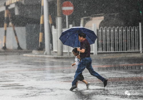 多图直击 5大黄色预警 北京迎来入汛最强降雨