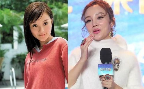 女明星整容后该何去何从 曾经有多美,现在就有多让人惋惜