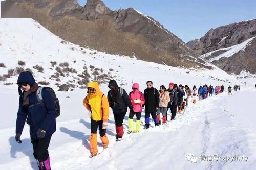 新疆西域户外俱乐部2月21日以后户外旅游活动线路活动安排帖