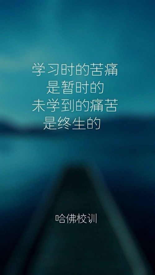 销售语录励志的句子（房产销售励志文案？）