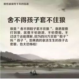 分享合作的名言—善于合作的俗语名言警句？