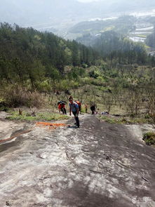 罗田灵芝山未命名