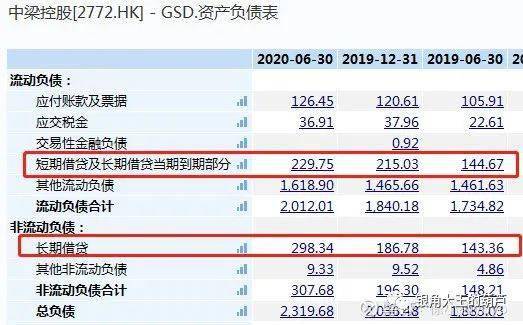 华阳集团的实力如何，请业内人士点评一下。