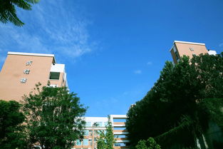 南山有哪些大学