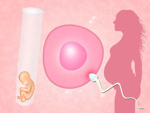 试管婴儿怀孕后和正常怀孕是一样的吗？