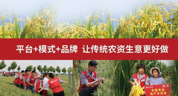 丰信农业 平台 模式 品牌,让传统农资生意更好做