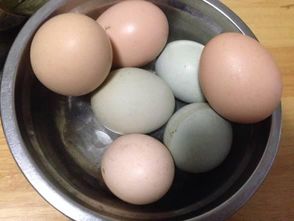 中国冷知识科普煮鸡蛋 煮鸡蛋的