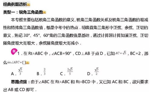 中考必考 锐角三角函数知识点汇总 附真题训练 