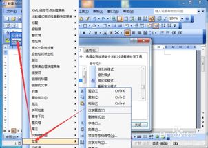 word2003如何移动常用功能到右键菜单 