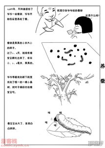 飞象成长日记漫画 养蚕 漫客栈 