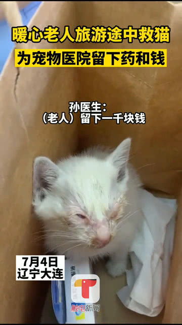 老人旅游途中救助流浪猫,留下一千元和药托路人送将猫到宠物医院 