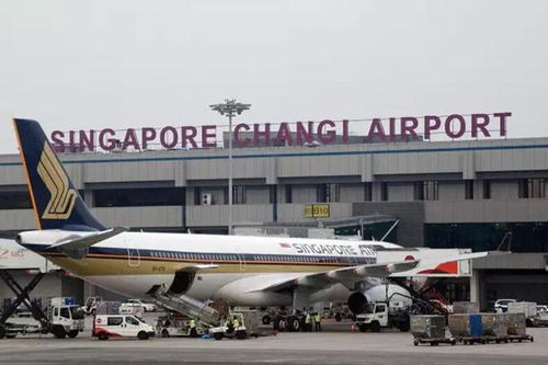 放宽入境的新加坡航空有多 野 日本 印度 欧美统统 加飞