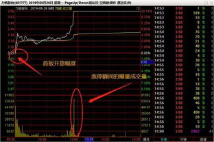 50元股票买了100股 涨停 可以赚多少钱