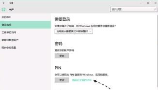 WIN10 只记得PIN码 不记得开机密码 我可以登陆进电脑 一直用的PIN码 