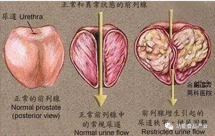 解读 硒对各种疾病的作用 视频